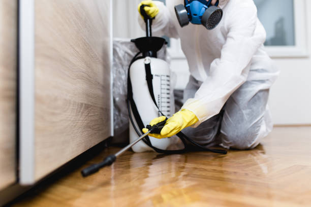 Best Residential Pest Control  in Pojoaque, NM
