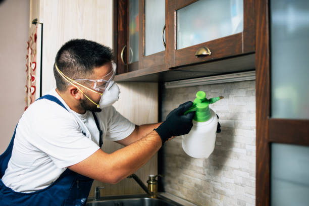 Best Termite Control Services  in Pojoaque, NM