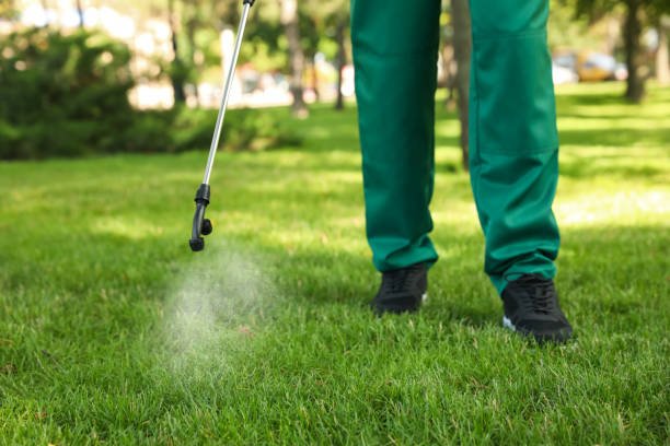 Best Exterminator Services  in Pojoaque, NM