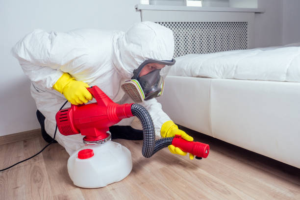 Best Affordable Pest Control Services  in Pojoaque, NM