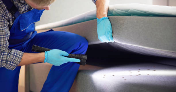 Best Best Pest Control Companies  in Pojoaque, NM