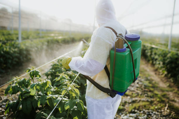 Best Wasp Removal Services  in Pojoaque, NM